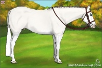 Horse Color:White Spotted Silver Smoky Creme Splash