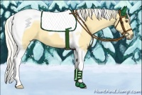 Horse Color:Palomino Dun Tobiano 