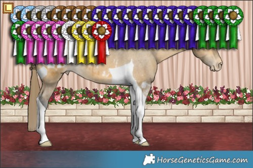 Horse Color:Buckskin Tobiano Appaloosa Rabicano 