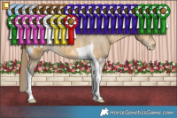 Horse Color:Buckskin Tobiano Appaloosa Rabicano 