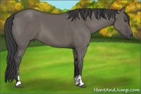 Horse Color:Smoky Grullo Sabino 