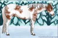 Horse Color:White Spotted Silver Bay Splash Tobiano Frame