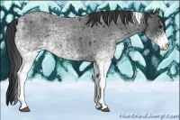 Horse Color:White Spotted Blue Roan Tobiano