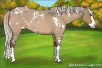 Horse Color:White Spotted Silver Bay Roan Dun Splash 