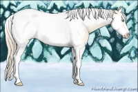 Horse Color:Perlino Dun Splash Tobiano Frame