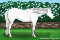 Horse Color:Silver Bay Dun Sabino Splash Blanket 