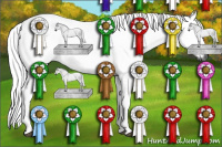 Horse Color:Gray Red Roan Tobiano 