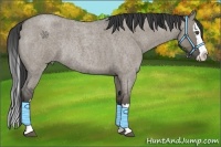 Horse Color:Smoky Grullo Roan Splash Rabicano
