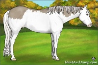 Horse Color:Silver Smoky Grullo Roan Splash
