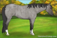Horse Color:Smoky Grullo Roan 