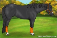 Horse Color:Black Sabino