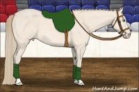 Horse Color:Perlino Roan 