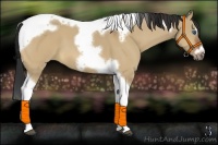 Horse Color:Bay Dun Splash Tobiano Frame 