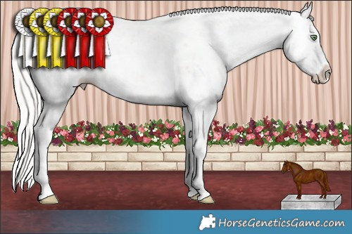 Horse Color:Silver Amber Champagne Dun Sabino Splash Rabicano 