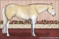 Horse Color:Silver Amber Champagne Dun Sabino Splash Rabicano 