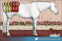 Horse Color:Silver Amber Champagne Dun Sabino Splash Rabicano 