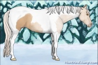 Horse Color:Silver Classic Champagne Roan Tobiano