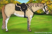 Horse Color:Red Dun Roan Splash Frame Rabicano