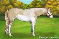 Horse Color:Red Dun Roan Sabino Splash Frame Rabicano 