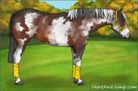 Horse Color:White Spotted Bay Frame