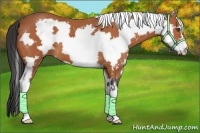 Horse Color:White Spotted Bay Frame