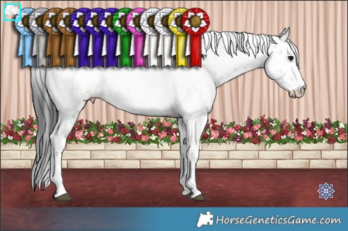 Horse Color:Grullo Sabino 
