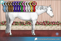 Horse Color:Grullo Sabino 