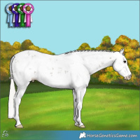Horse Color:Silver Black Sabino 