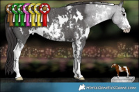 Horse Color:White Spotted Smoky Black Sabino 