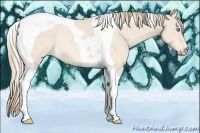 Horse Color:Perlino Tobiano Rabicano