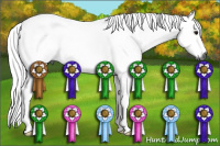 Horse Color:Gray Smoky Blue Roan 