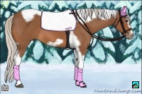 Horse Color:Silver Bay Splash Tobiano Frame