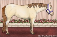 Horse Color:Bay Pearl Dun Splash Frame  Brindle