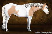 Horse Color:Silver Black Pearl Splash Tobiano Frame 