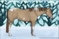 Horse Color:Classic Cream Champagne Tobiano Frame Rabicano