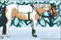 Horse Color:Bay Dun Tobiano 