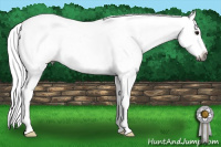 Horse Color:Gray Buckskin Roan Frame Appaloosa