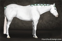 Horse Color:White Spotted Palomino Splash Frame Varnish Rabicano