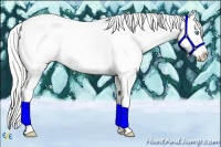 Horse Color:Silver Smoky Creme Dun Sabino Splash Tobiano Appaloosa 