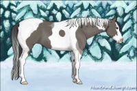 Horse Color:Smoky Grullo Splash Tobiano