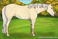 Horse Color:Silver Classic Cream Champagne Dun Splash Frame 