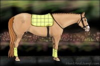 Horse Color:Gold Champagne Splash 