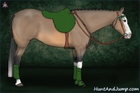 Horse Color:Buckskin Splash 