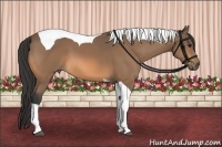 Horse Color:Buckskin Tobiano