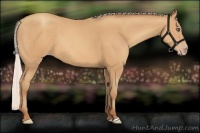 Horse Color:Silver Amber Champagne 