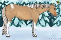 Horse Color:Silver Bay Dun Splash Tobiano Frame 