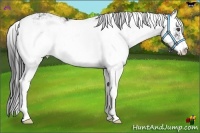 Horse Color:Black Sabino 