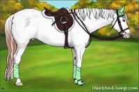 Horse Color:Black Sabino Splash Appaloosa 
