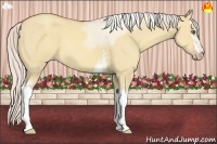 Horse Color:White Spotted Silver Classic Champagne Dun Sabino 