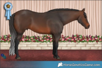 Horse Color:Brown 